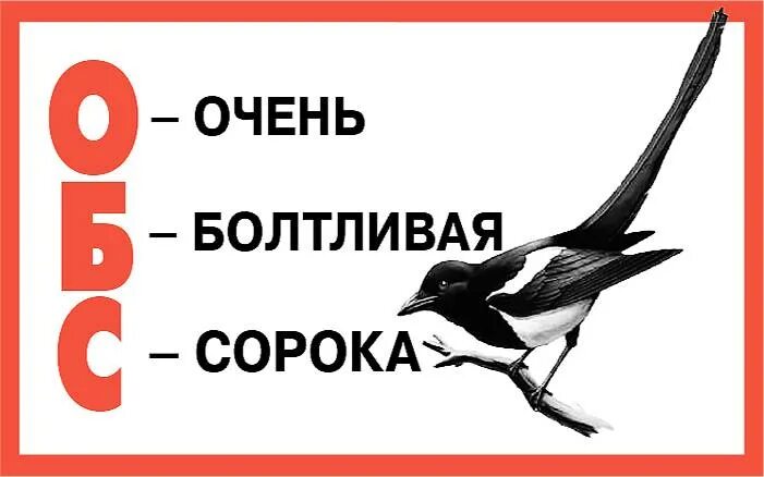 Птичка на хвосте принесла фразеологизм. Сорока принесла. Фразеологизм. Сорока на хвосте принесла значение. Сорока на хвосте принесла.