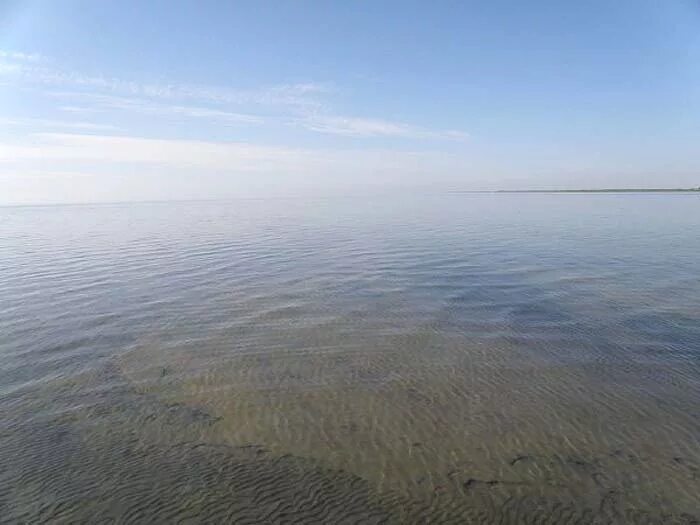 Озеро большое Кулундинское Алтайский край. Кулундинское соленое озеро. Кулундинское озеро на Алтае. Кулунда соленое озеро. Кулундинское озеро алтайский