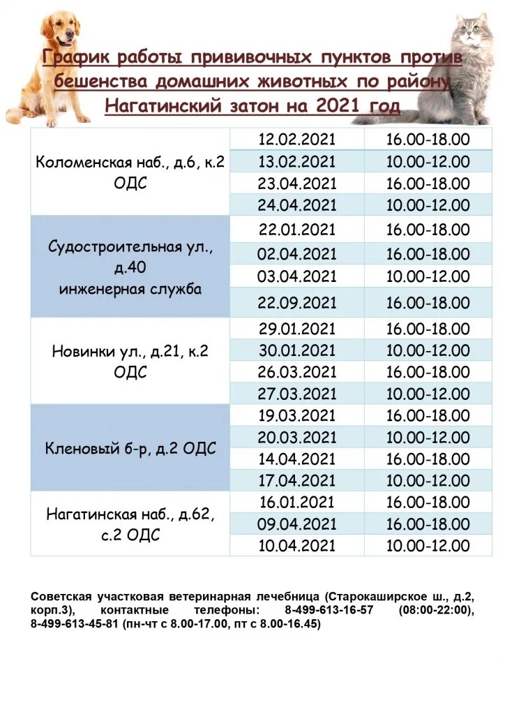 Прививка от бешенства собаке когда можно. Вакцинация собак от бешенства график. Прививки от бешенства щенку график. График прививок от бешенства собаке. Прививки от бешенства для собак график.