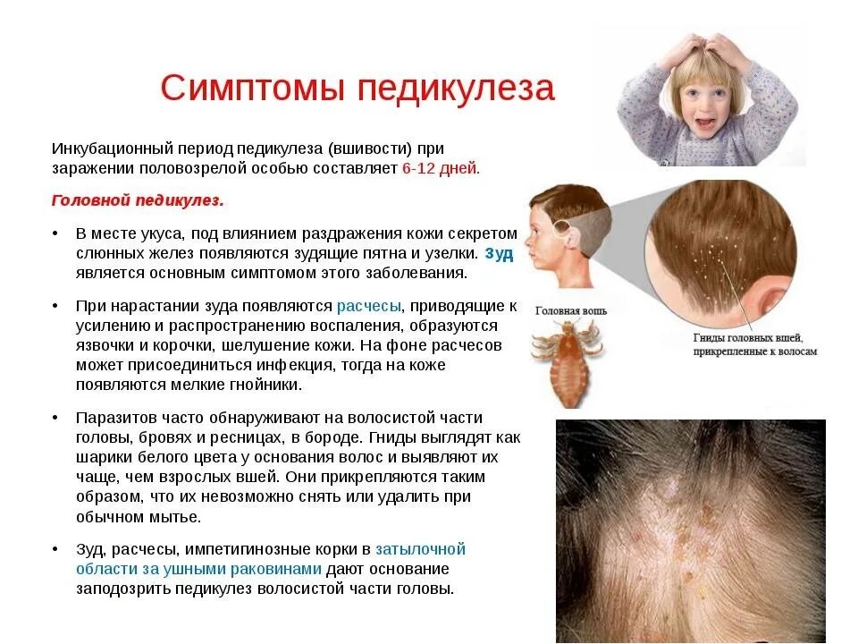 Как называется человек на голове