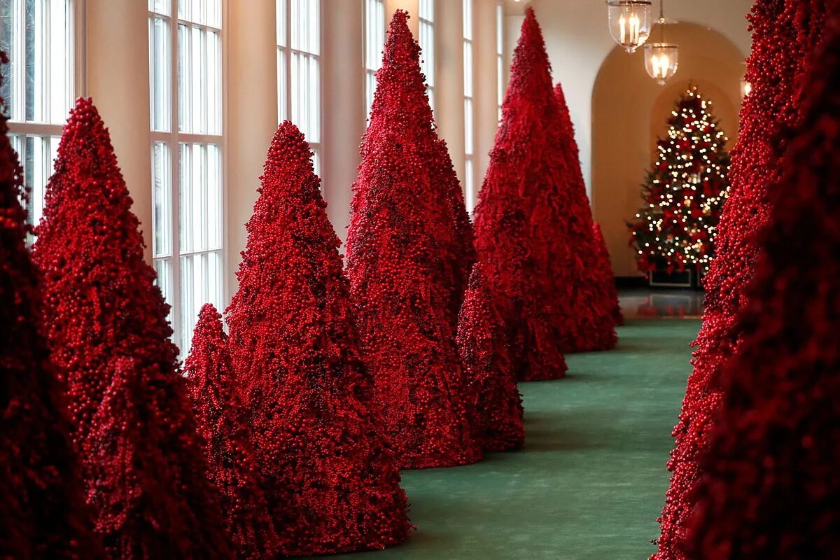 Красная елка. Красная Новогодняя елка. Новогодняя елка в Красном цвете. Бордовая елка. Елки длинные