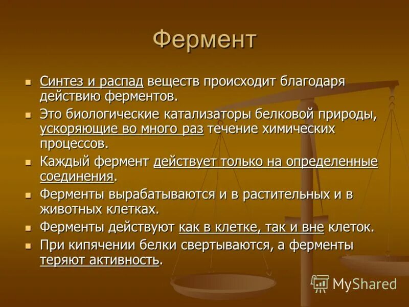 Административные методы. С помощью чего происходит. С помощью чего происходит. Интересная информация о легких. Регуляция процессов жизнедеятельности растений.