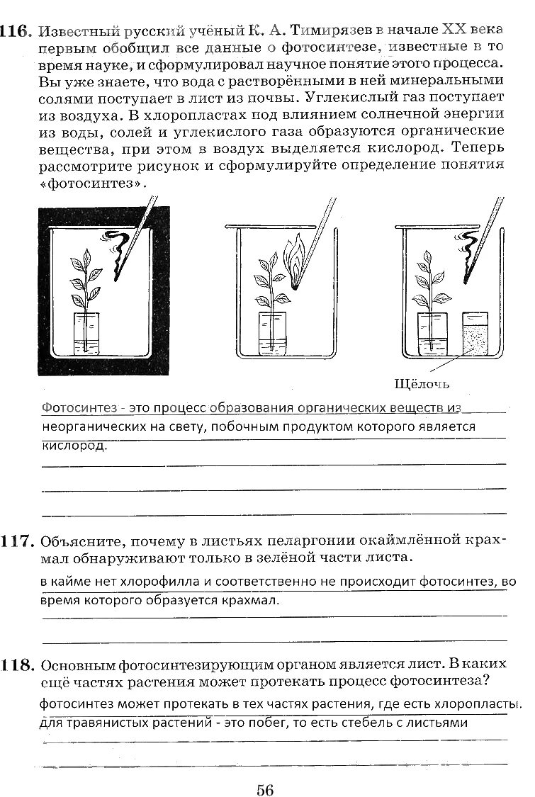 Объясните почему в листьях пеларгонии. Объясните почему в листьях пеларгонии окаймленной крахмал. Гдз 118 по биологии Пасечник рабочая тетрадь 6 класс. Гдз по биологии 6 класс Пасечник Снисаренко. Гдз рабочая тетрадь по биологии 6 класс Пасечник, Снисаренко.