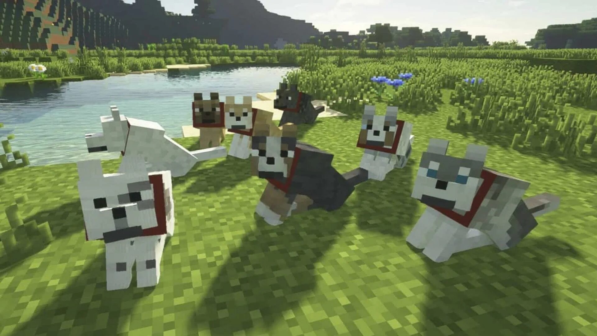 Собаки майнкрафт мод андроид. Minecraft собака. better dogs майнкрафт. волк майнкрафт. майнкрафт собачка.