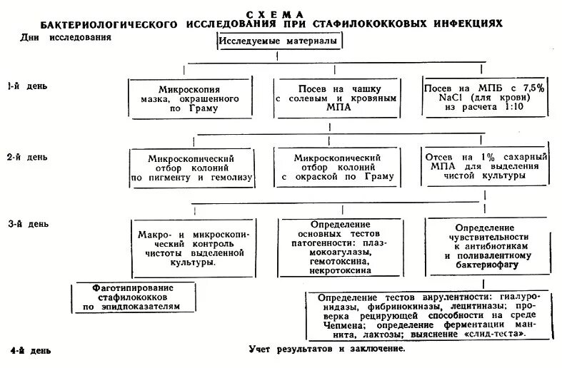 Бактериологический алгоритм