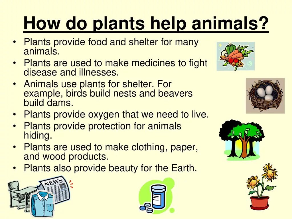 Animals and Plants презентация. Animals топик 3 класс. Пересказ текста animals and Plants. Speaking about animals Grade 1 класс. Provided plants