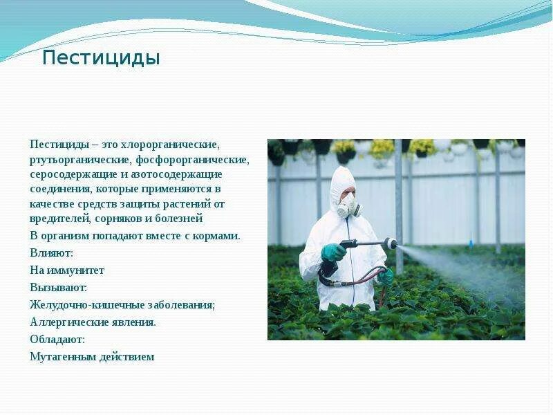 Программа пестициды. Хлорорганические пестициды презентация. Пестициды заболевания. Ртутные пестициды. Пестициды для растений.