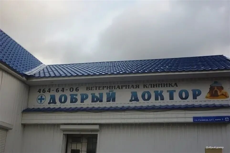 добрый доктор саранск. добрый доктор металлострой. лабораторная диагностика. добрый доктор металлострой. центр добрый доктор логотип.