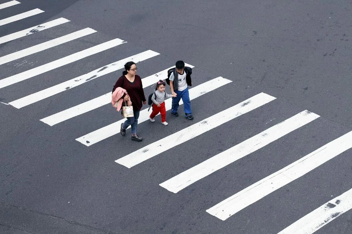 Пешеходы 7 букв. Пешеходная Зебра. Зебра пешеходный переход. Зебра дорожная. Pesehodnii perehod.