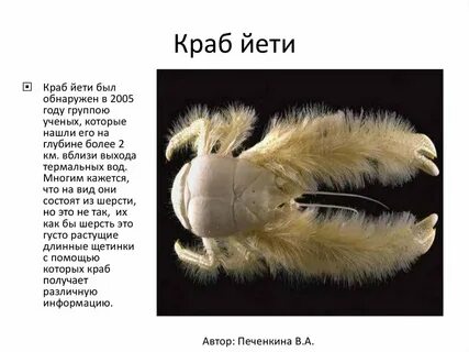 Странные описания