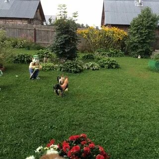 Погода в ассаурово на 14 дней