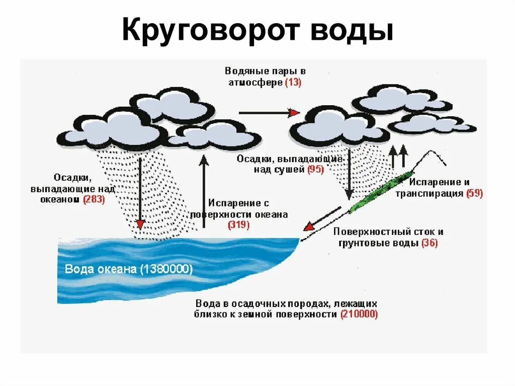 Круговорот воды в природе схема. Круговорот воды в природе 5 класс биология. Схема водоворота воды в природе. Схематический круговорот воды в природе. Как называется круговорот в природе