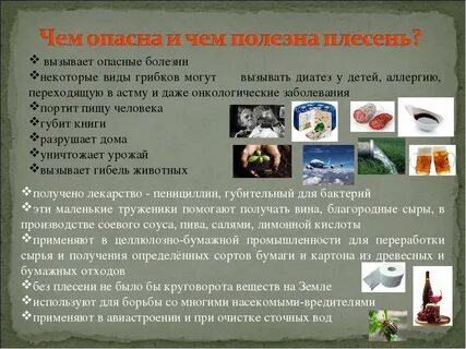 Чем опасен грибок