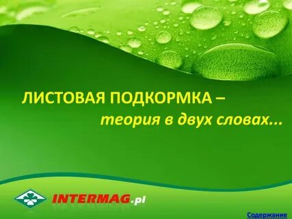 Внекорневая подкормка