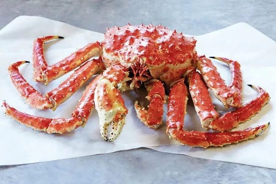 Краб перевод. Дальневосточный краб. Камчатский краб полосатик. Red King Crab. Конечности Камчатского краба.