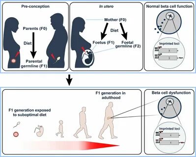 Что значит поколение бета в 2025
