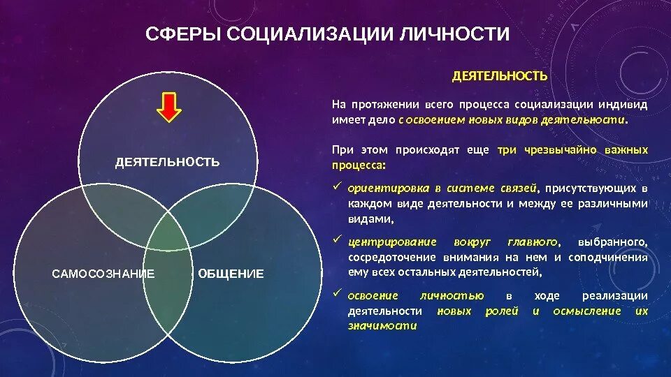 Деятельность индивида направленная