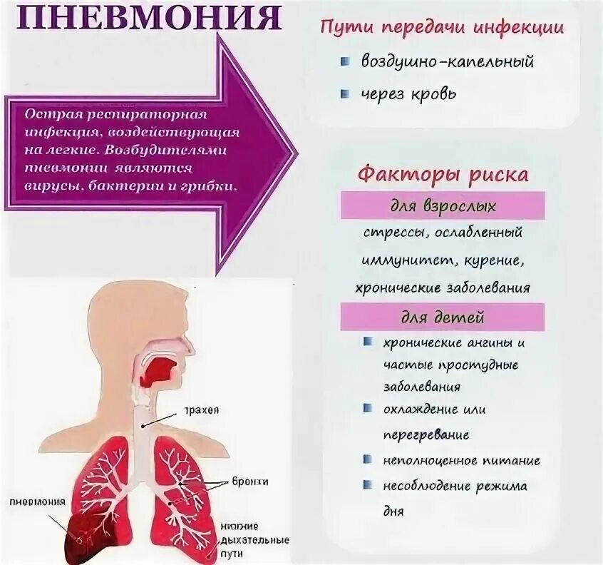 Воспаление легких без температуры признаки у взрослого