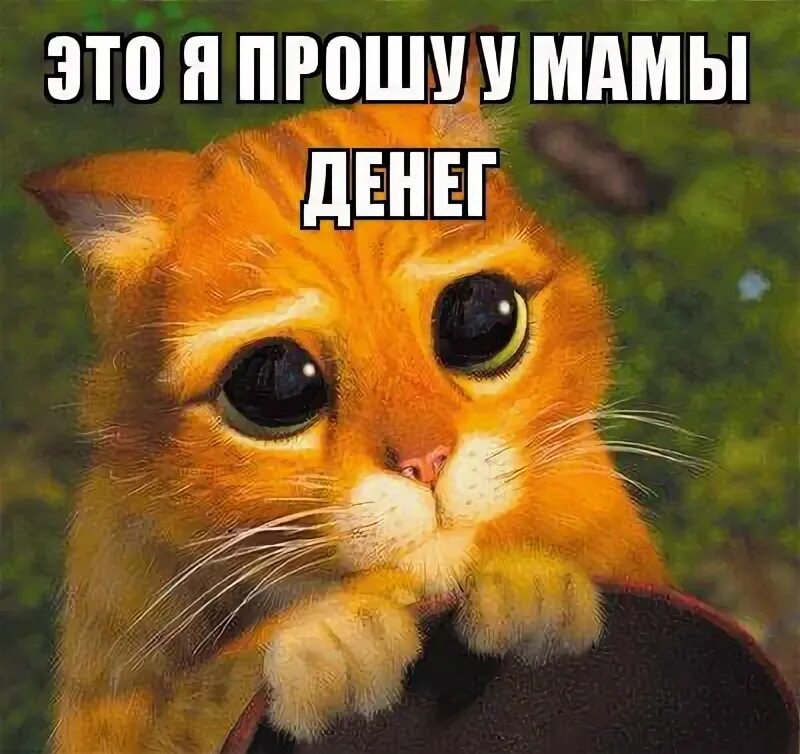 Давайте приезжайте побыстрее