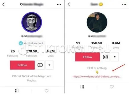 Url tiktok