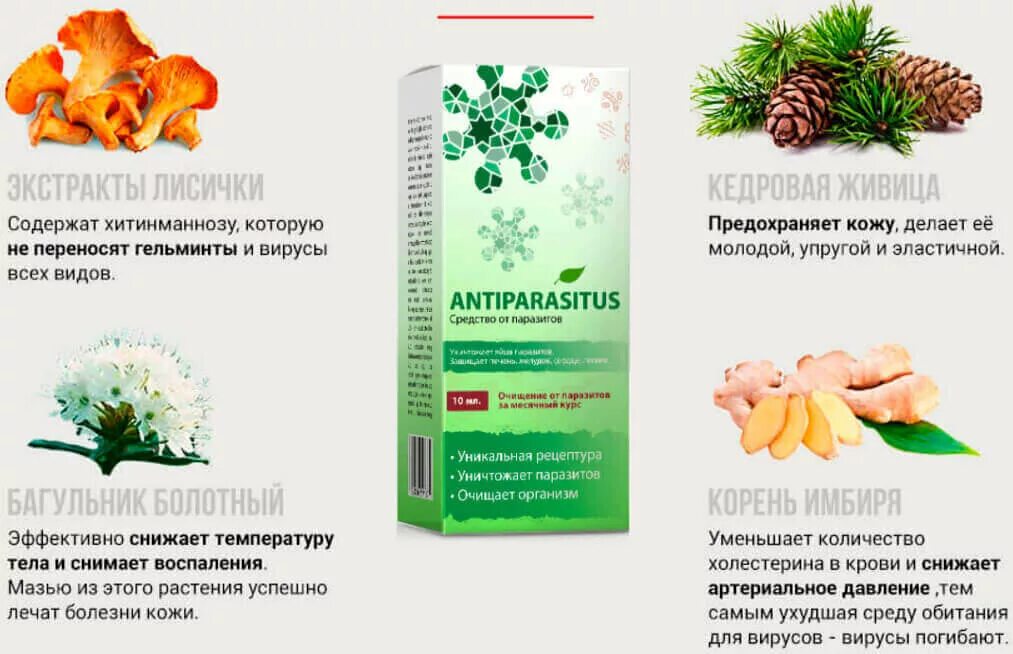 Как избавиться от паразитов в организме медикаментозно. Лекарство от паразитов в организме. растительные препараты от глистов. эффективное средство от паразитов в организме. средство от глистов и папиллом.