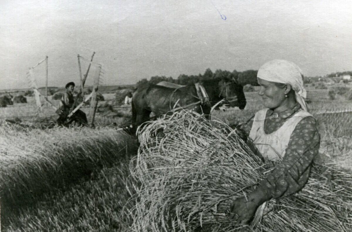 Работа тыла во время войны. Сельское хозяйство в годы войны 1941-1945. Труженицы тыла в годы ВОВ Татарстан. Сельское хозяйство труженицы тыла в годы Великой Отечественной войны. Сельское хозяйство Татарстана в годы Великой Отечественной войны.