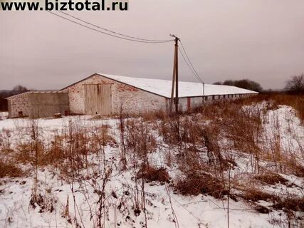 Продаю фермерское