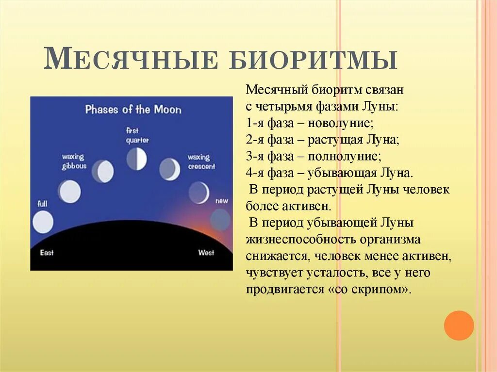 8 апреля луна в какой фазе. Месячные биоритмы. Фазы Луны. Месячные циклы биоритмов. Лунные ритмы у человека.