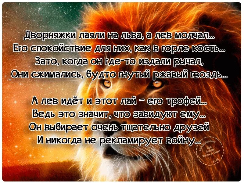 Как понять что мужчина лев влюблен. Цитаты про львов. лев цитаты. афоризмы про львов. высказывания о львах мужчинах.