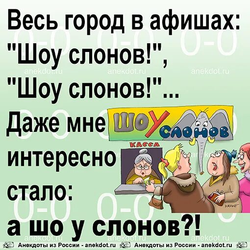 Анекдоты про шоу. Анекдот про слона. Анекдот про слоника. Анекдоты из России. Анекдот шоу.