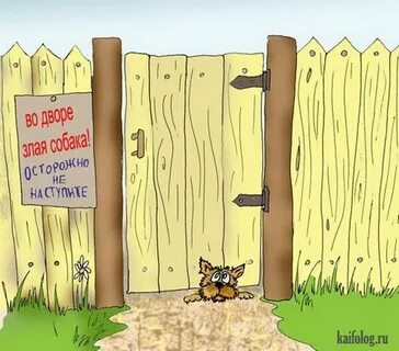 Собака лает на заборе