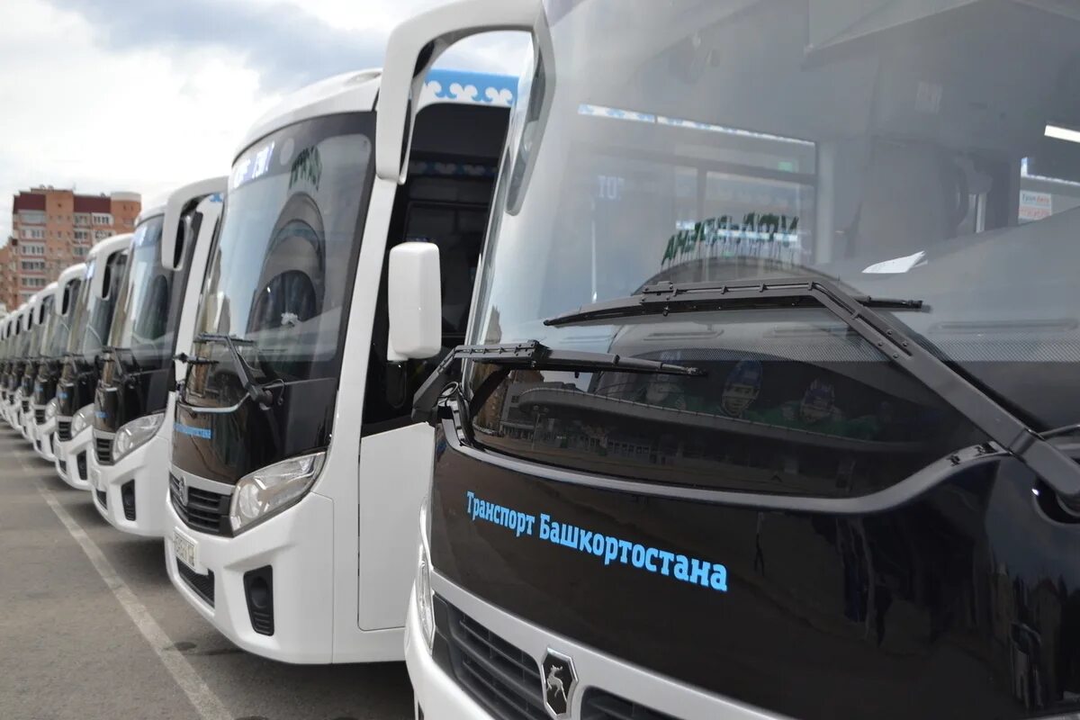 Башавтотранс салават. Автобус башавтотранс. гуп &quot;башавтотранс&quot; рб автобус. автобусы башавтотранс уфа. башавтотранс автопарк.