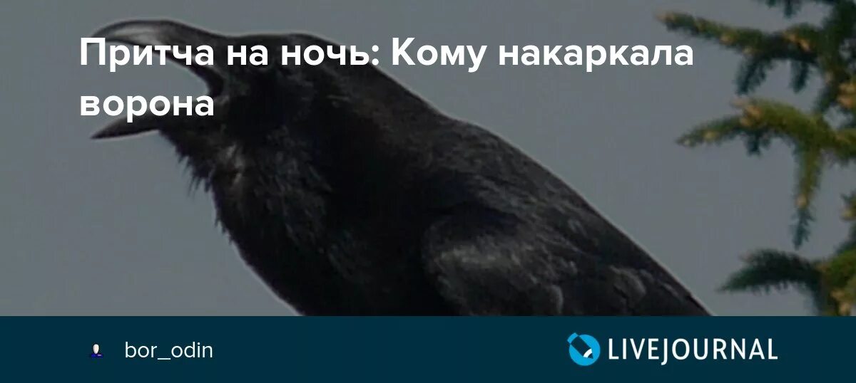 Путник1 livejournal жж. Путник1 livejournal жж