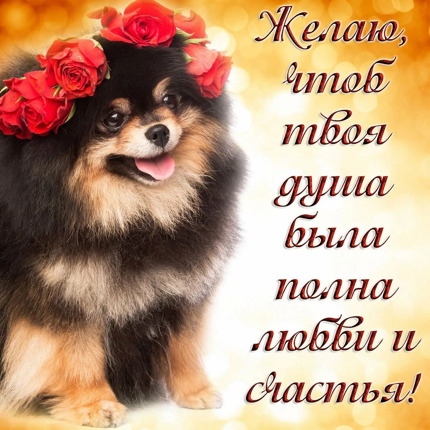 Сайт добрых пожеланий