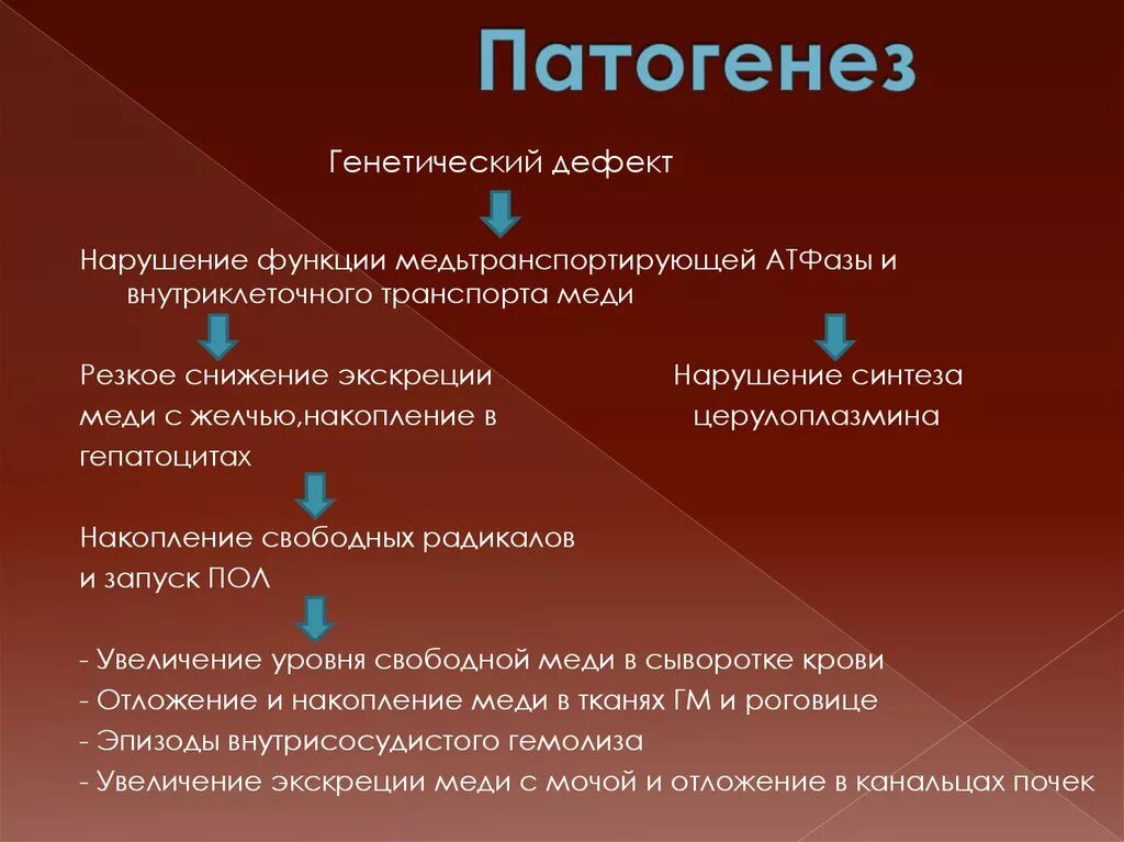 Синдром вильсона коновалова что это такое простыми. Болезнь Вильсона Коновалова патогенез. Этология болезни Вильсона Коновалова. Болезнь Вильсона Коновалова этиопатогенез. Болезнь Вильсона Коновалова этиология и патогенез.