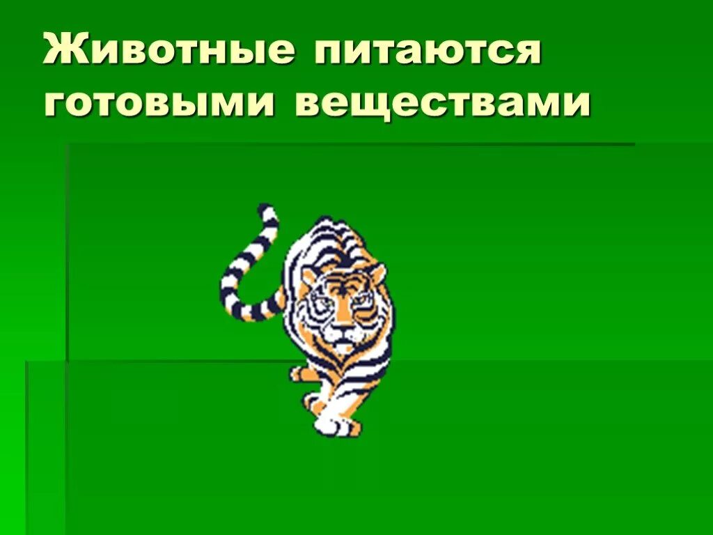 Питание животных 6 класс. Какие животные питаются готовыми веществами. Способы питания животных 7 класс. Питание животных Введение в проект. Кормление животных 7 класс.