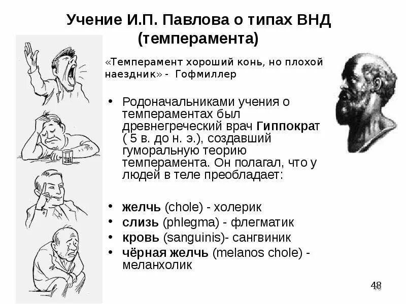 Тип ВНД Гиппократ Павлов. Гиппократ учение о 4 темпераментах. Тип ВНД по Гиппократу Тип ВНД по Павлову. Учение о темпераменте Гиппократа и.п.Павлова. Типах темперамента и п павлова