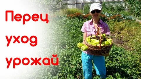Ваша дача