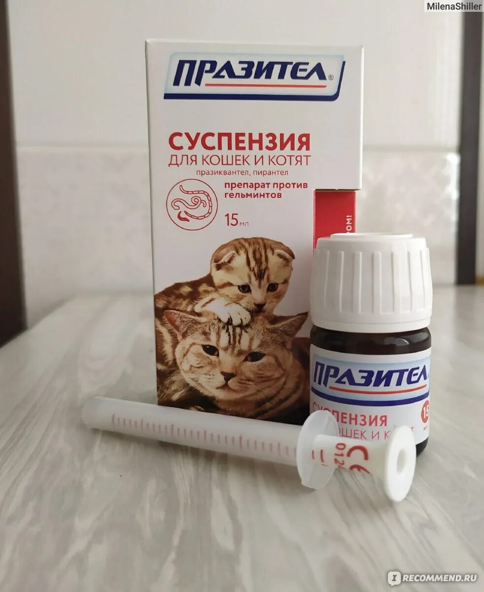 Суспензия для кошек купить