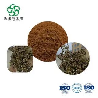 Indica fruit extract