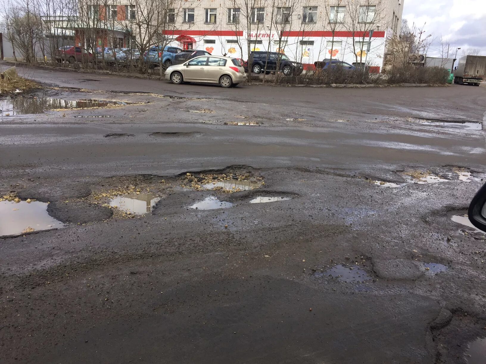 Усадьба демидовых ленинградская область. Погода в тайцах на 10 дней. Усадьба демидовых в апрелевке. Господский дом демидовых нижний тагил. Поселок тайцы.