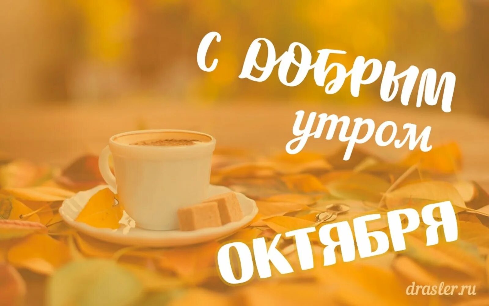 14 октября праздник доброе утро. Доброе утро октября. открытки с добрым утром октября. открытки с добрым октябрьским утром. стильные пожелания с добрым утром.