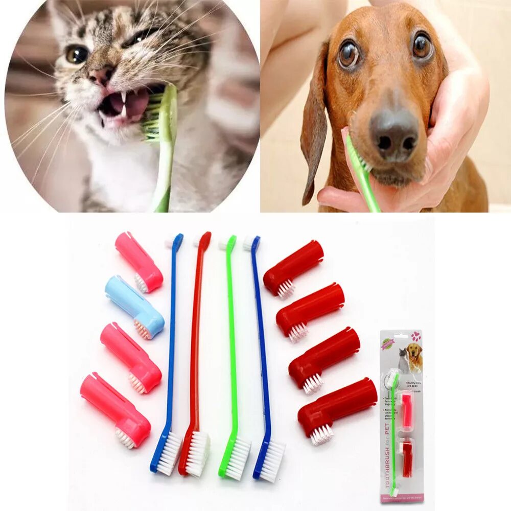 Щетка зубная Pet Toothbrush. Зубная щетка для животных "Double Side". Зубная шетка для когек. Кот с зубной щеткой.