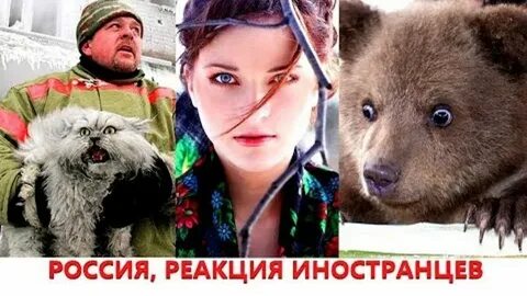 Комментарии иностранцев о интервью
