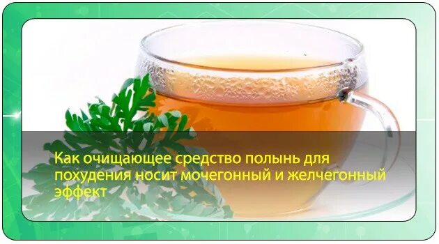 Чистить полынью. Чай из полыни для похудения. как принимать полынь для похудения. очистка организма полынью. полынь для похудание.
