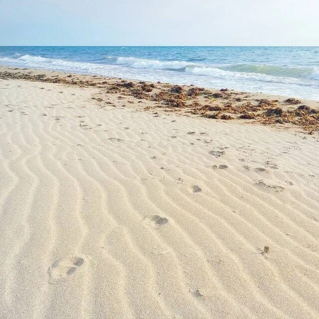 Отдых песочные пляжи. Песчаный пляж. песчаные пляжи крыма. песочный пляж. песочные пляжи крыма.