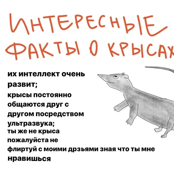 Книга как быть крысой. Книга крыса в коллективе. крыса в коллективе. крысиный поступок. как быть крысой.