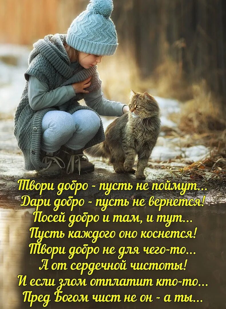 Делайте добро сегодня. Твори добро. О доброте. Твори добро высказывания. Открытки про доброту.