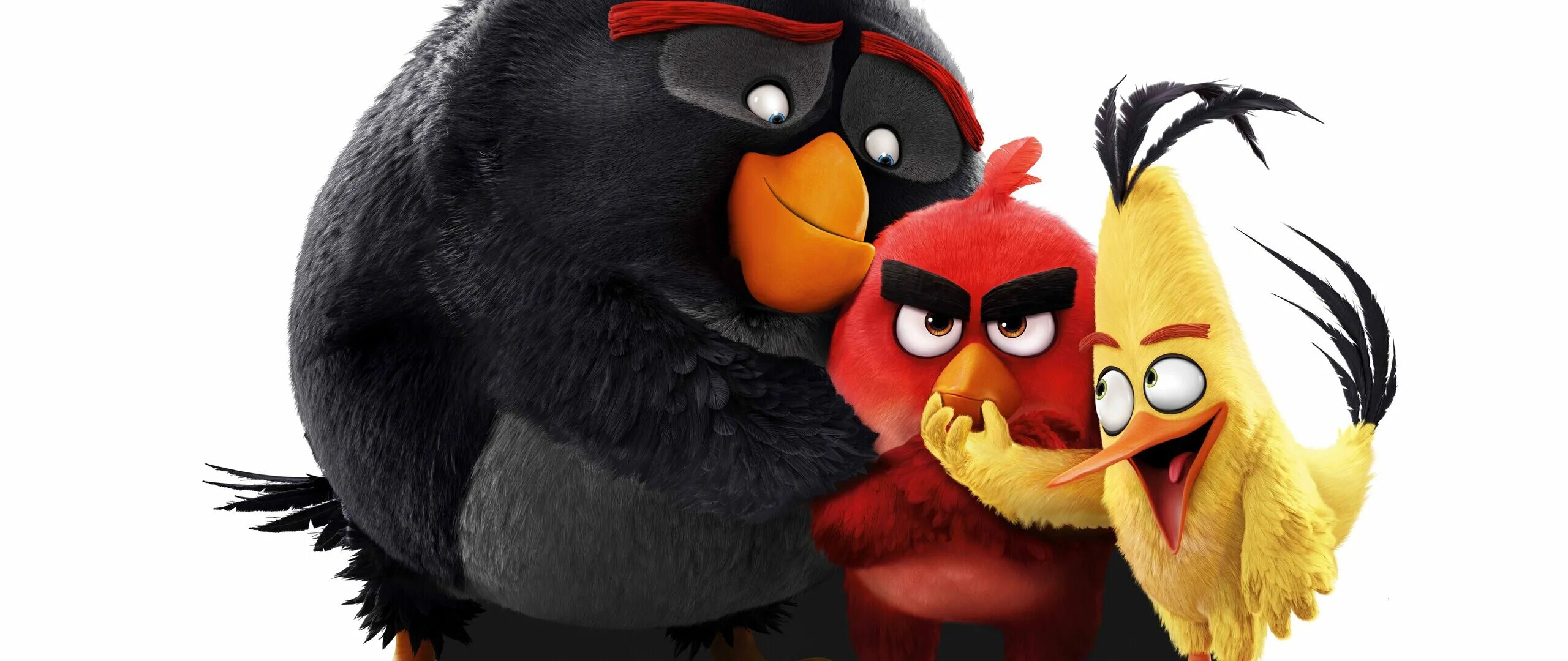Энгри бердз красная птица. Смотрите angry birds 2016. Смотрите angry birds 2016. Смотрите angry birds 2016. Энгри бердз 2016.