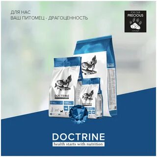 Doctrine корм